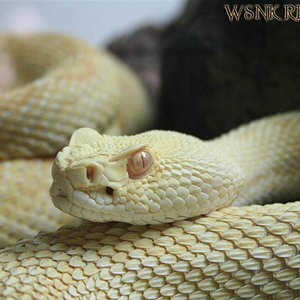 Imagen 434 (Large) copy001.jpg