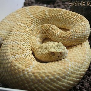 Imagen 436 (Large) copy11.jpg