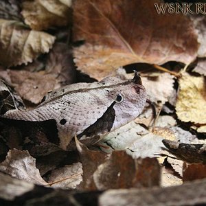 Imagen 446 (Large) copy11.jpg