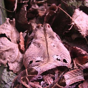 Imagen 447 (Large) copy11.jpg