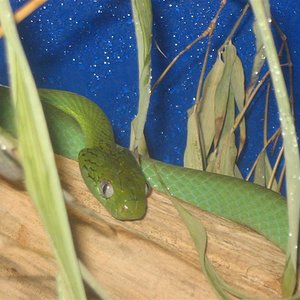 129_2917 (Medium).JPG