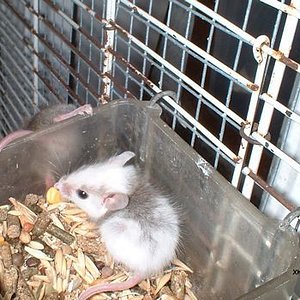 tn_10 - Junio 2005.JPG