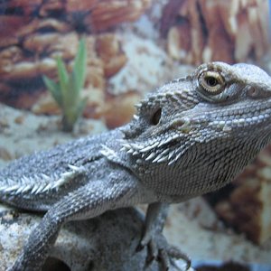 concurso reducido 1..JPG