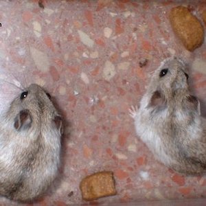 tn_1 - OCTUBRE 2005 (3).JPG