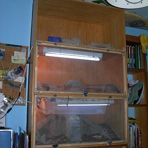 Bateria de terrarios.JPG