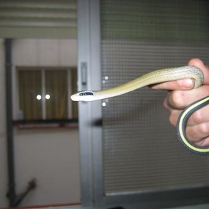 IMG_1074 (Custom).jpg