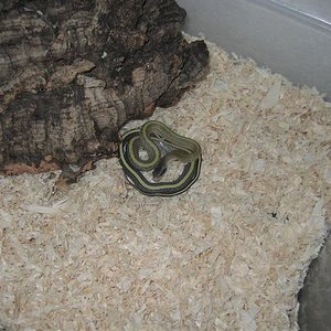 IMG_1061 (Custom).jpg