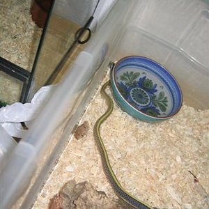 IMG_1077 (Small).jpg