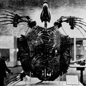 archelon.jpg