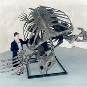 archelon-70Ma.jpg
