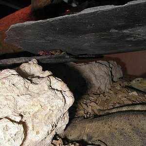 fiona y sreck 14.JPG