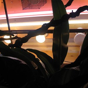 Terrario 001 (8).jpg