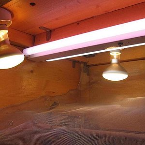 Terrario 001 (11).jpg