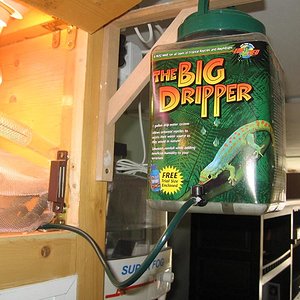 Terrario 001 (15).jpg