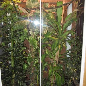 Terrario 001 (20).jpg