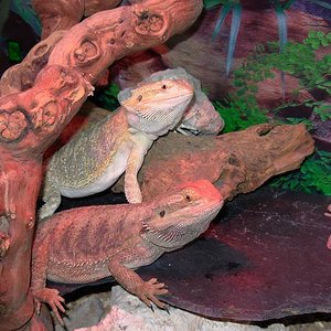 fiona y sreck 20.JPG