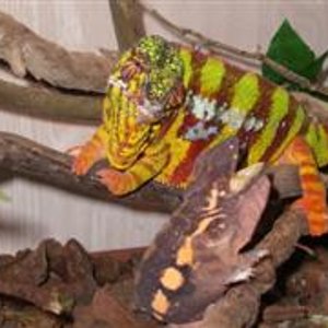 MONTA 16.03.2006 023 (WinCE).jpg