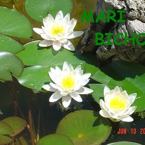 estanque chulo 002.jpg