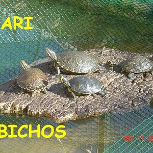 estanque reforma 007.jpg