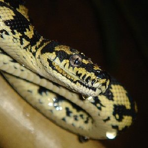 Copia de DSC01007.JPG