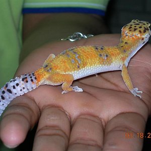 Picture 155 (Medium).jpg