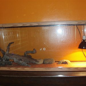 Picture 169 (Medium).jpg