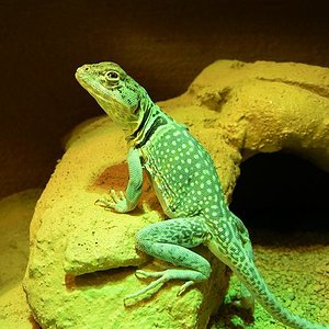 Copia de Imagen 407.jpg