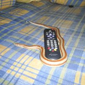 de todo un poco 001.jpg