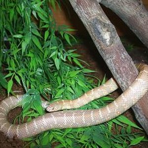 de todo un poco 046.jpg