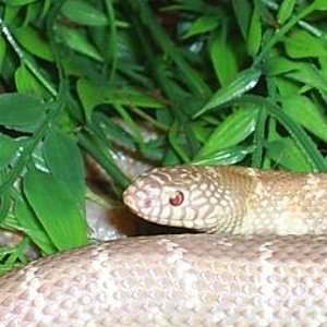 de todo un poco 047.jpg