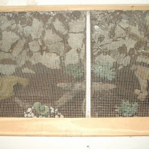 t.eubles cerrado.JPG