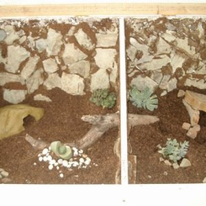 terrario eubles1.JPG