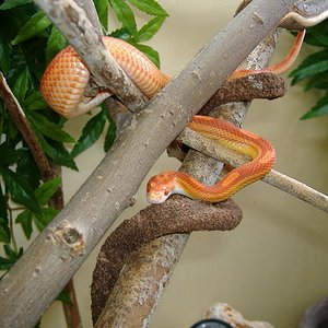 Copia de Perfecta.JPG