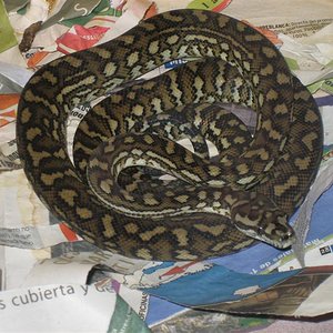 IMG_0015 (Medium).JPG