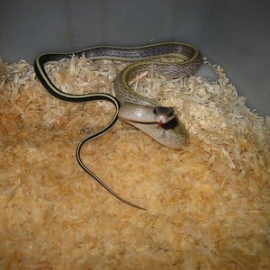 IMG_0025 (Medium).JPG