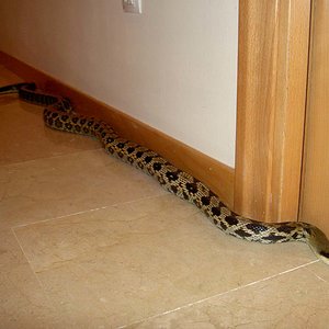 concurso mayo 06.jpg