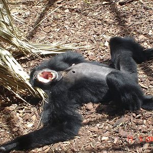 DSC00049 (Small).JPG