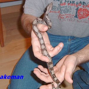 hembra con crias1.JPG