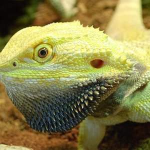 DSCN1886 (Large).JPG