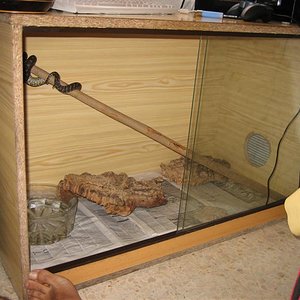 IMG_0204 (Medium).JPG