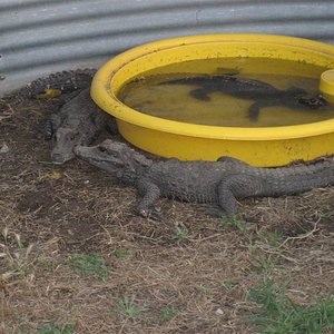 IMG_0253 (Medium).JPG