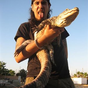 IMG_0250 (Medium).JPG