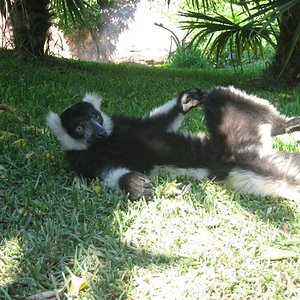 IMG_0184 (Medium).JPG