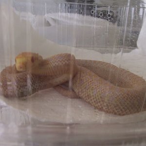 Baby Applegate 12-07-06 8.jpg