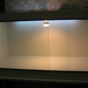 terrarium berria 3.JPG