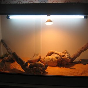 terrarium berria 4.JPG
