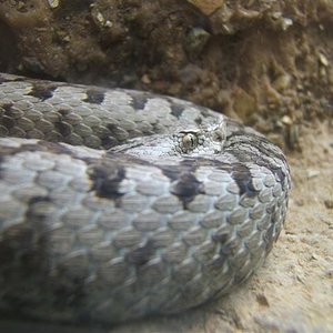 fotos guillem valencians 086 (Small).jpg