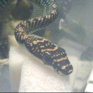 24_08_1980 20_14_0001.jpg