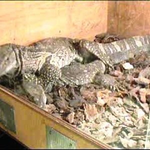 24_10_2078 19_04_0001.jpg