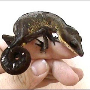 24_08_1980 16_49_0001.jpg